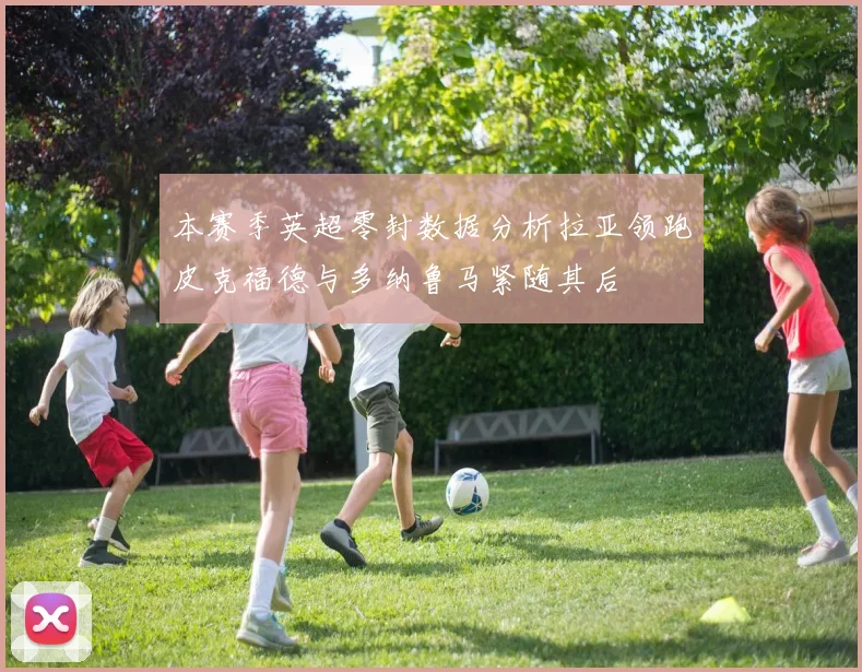 本赛季英超零封数据分析拉亚领跑皮克福德与多纳鲁马紧随其后