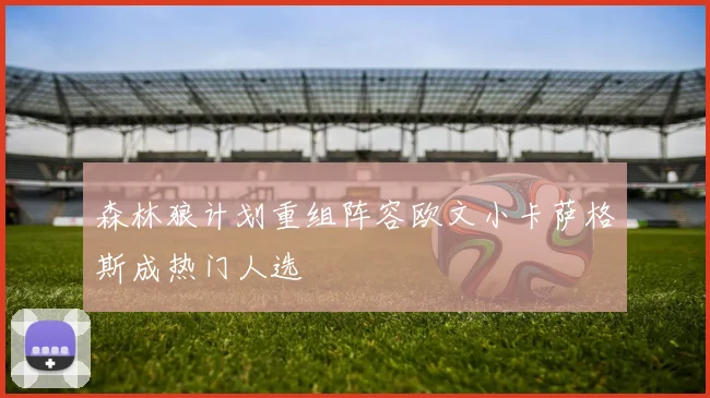 森林狼计划重组阵容欧文小卡萨格斯成热门人选